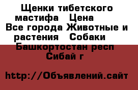 Щенки тибетского мастифа › Цена ­ 80 - Все города Животные и растения » Собаки   . Башкортостан респ.,Сибай г.